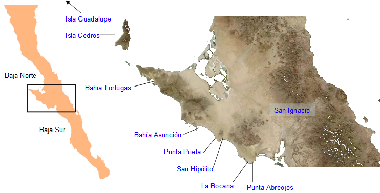 Fishery map: Baja Pacific coast and cooperative areas